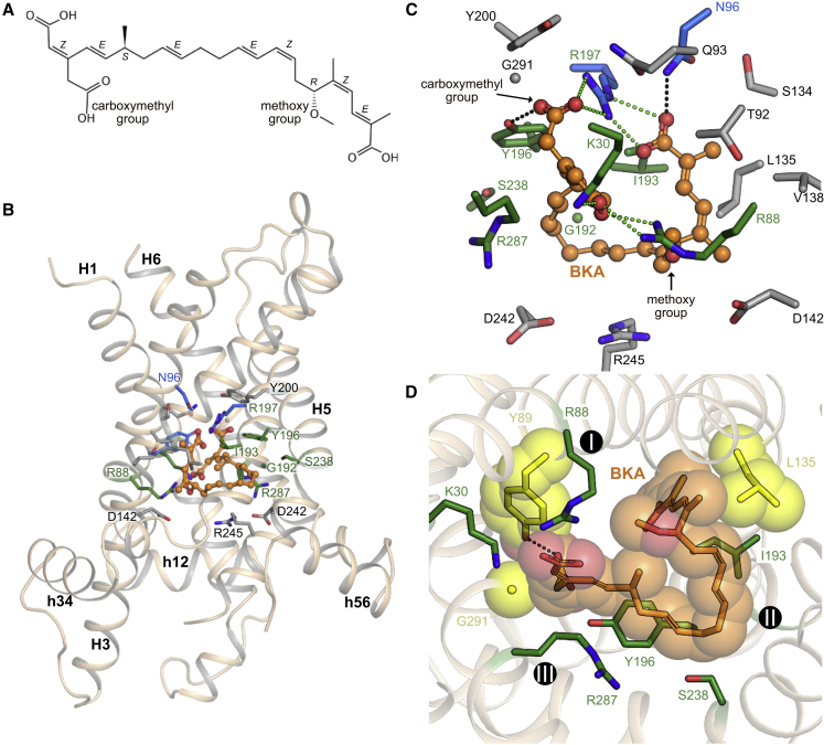 Figure 4