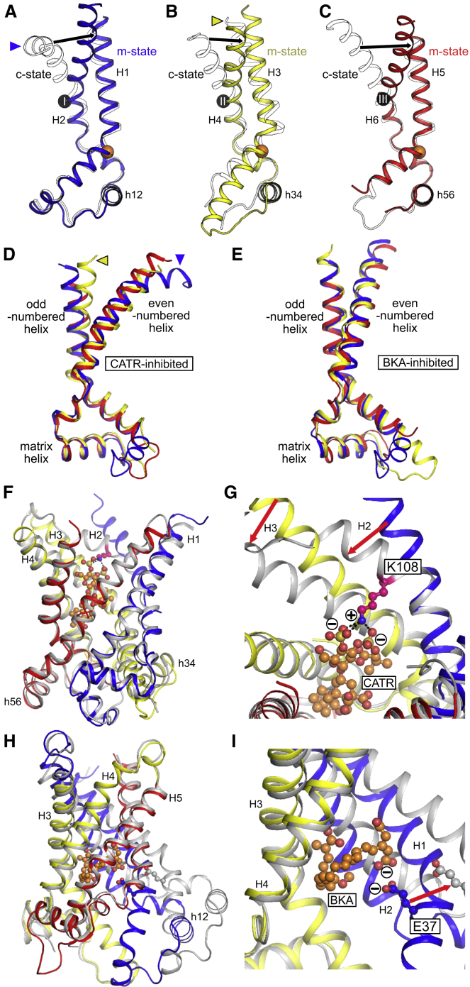 Figure 6