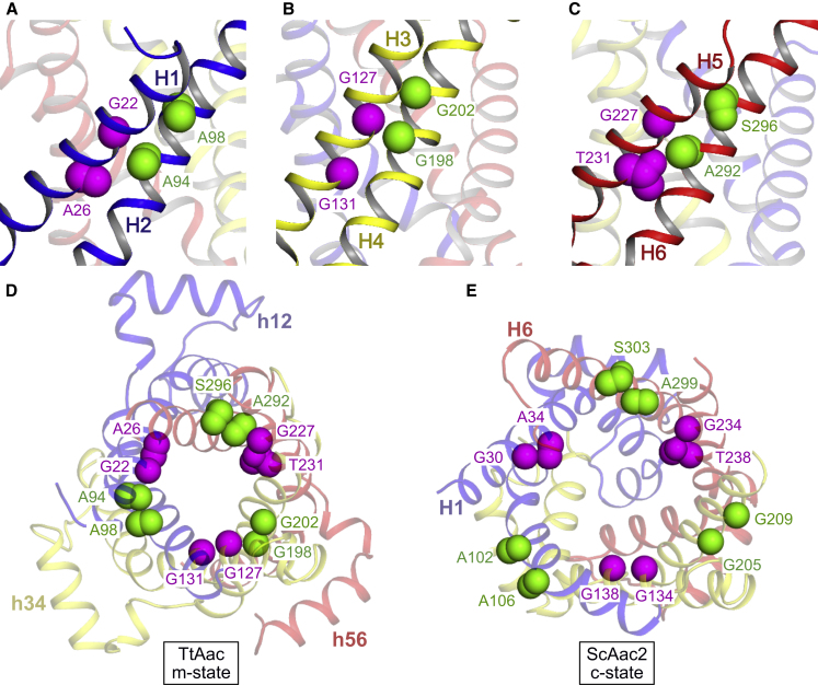 Figure 5