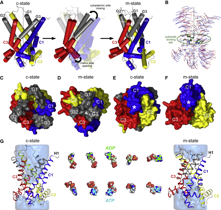 Figure 7