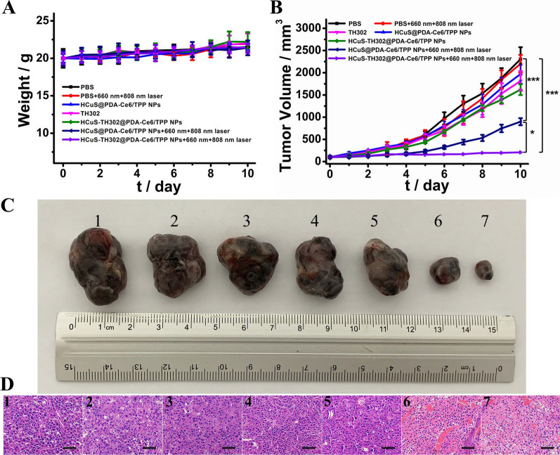 Fig. 6