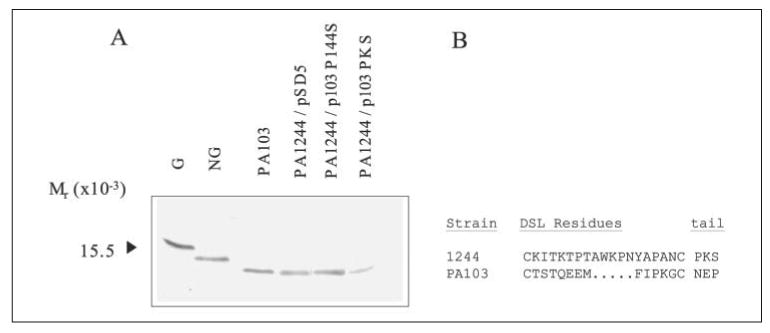 FIGURE 4