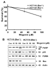 Fig. 12