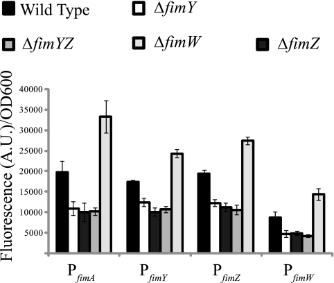 FIG. 1.