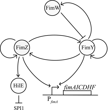 FIG. 5.