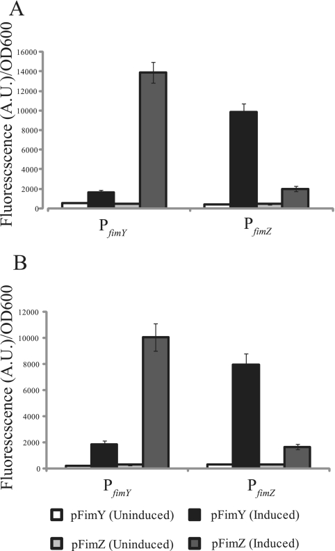 FIG. 2.