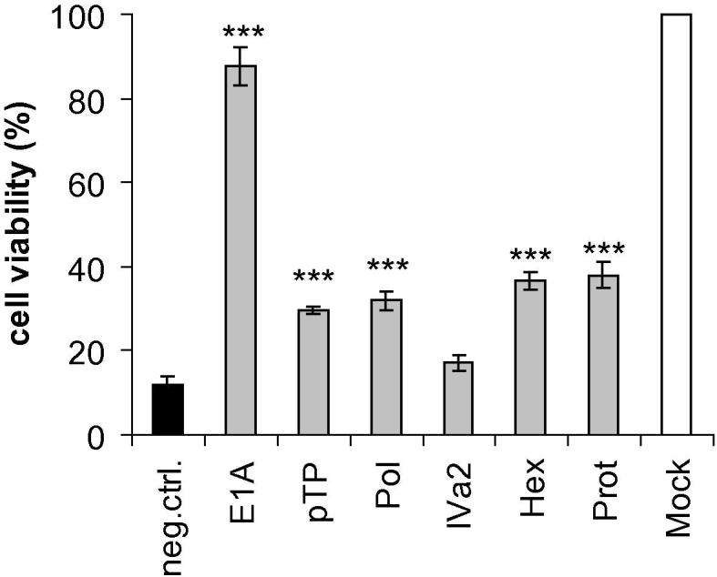 Fig. 8