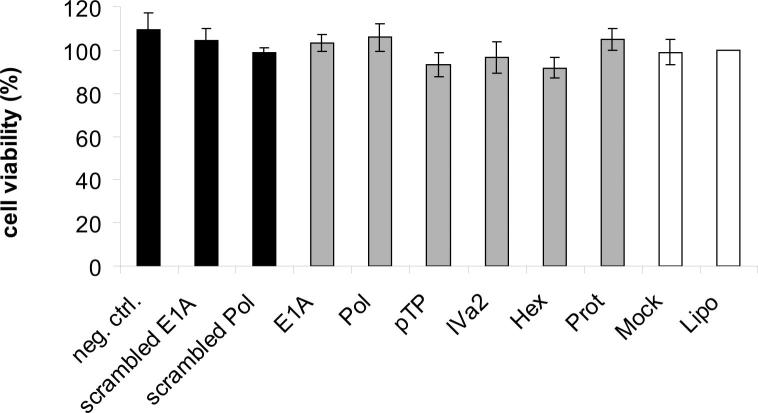 Supplementary Figure 6