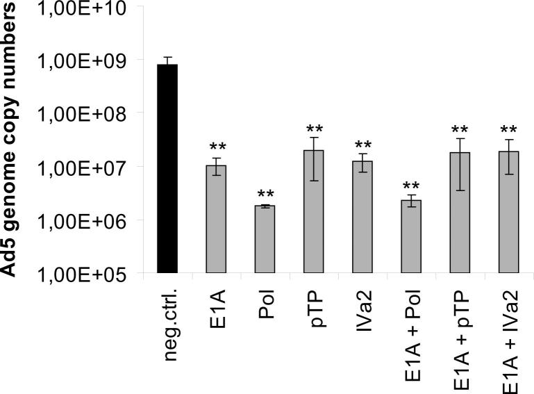 Supplementary Figure 4