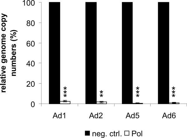 Supplementary Figure 3