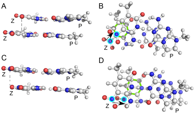 Figure 9.