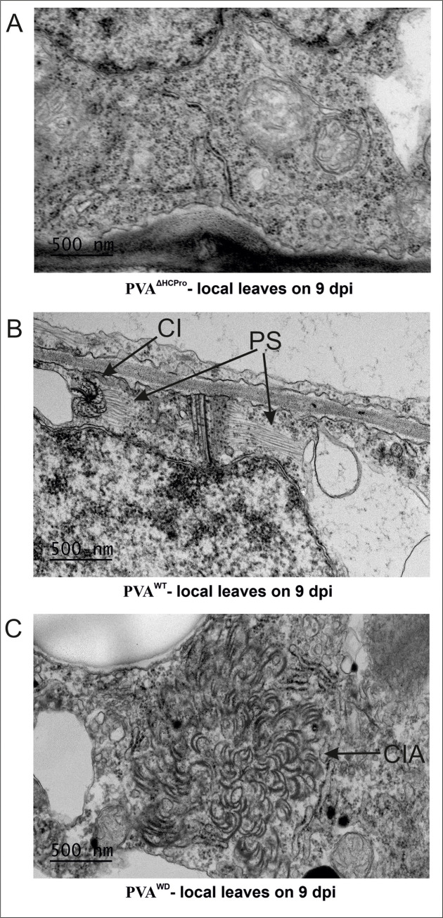 Fig 9