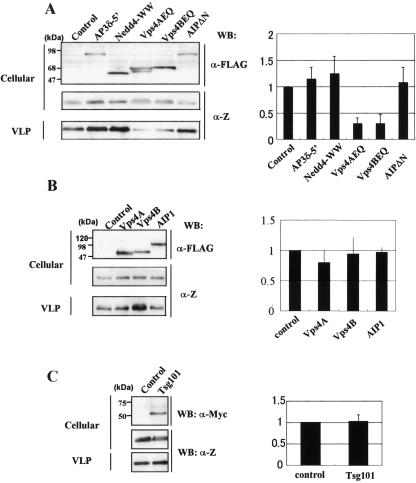 FIG. 1.