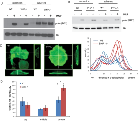 FIGURE 4: