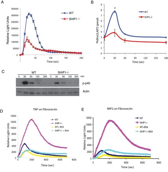 FIGURE 6: