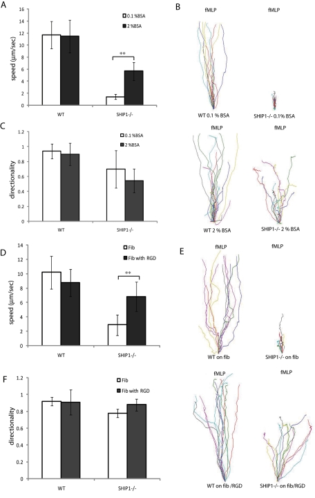 FIGURE 5: