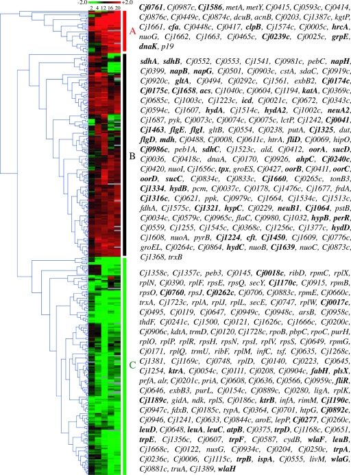 FIG. 4.