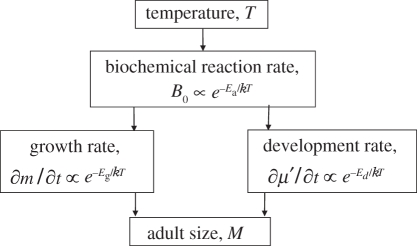 Figure 1.