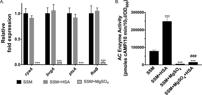 FIG 9