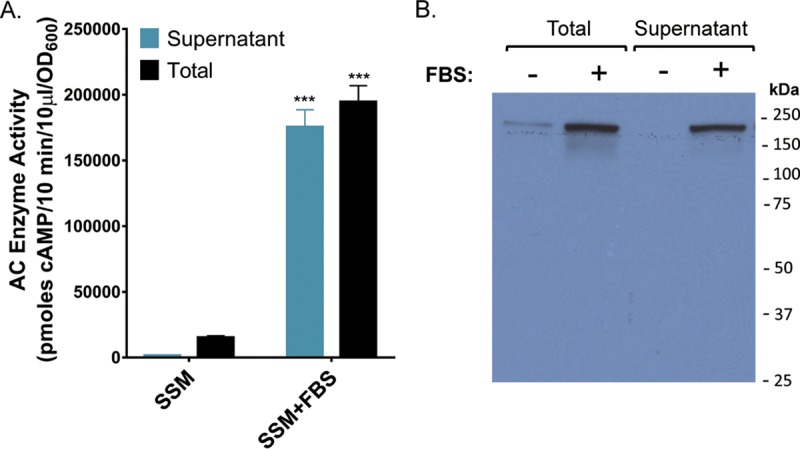 FIG 1