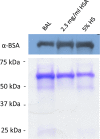 FIG 11