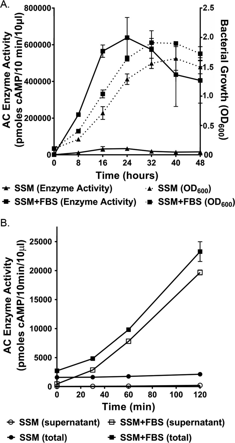 FIG 2