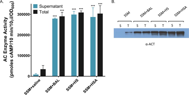 FIG 12