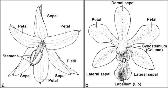 Extended Data Figure 1