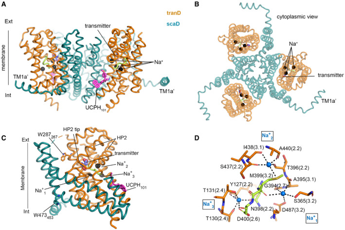 Figure 2