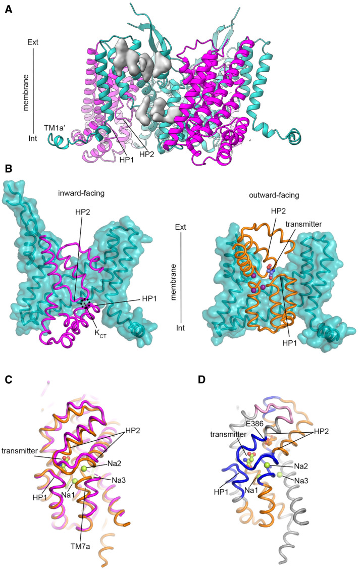 Figure 6