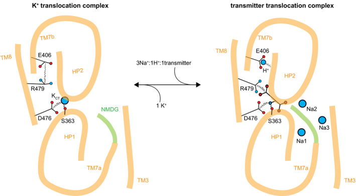 Figure 7