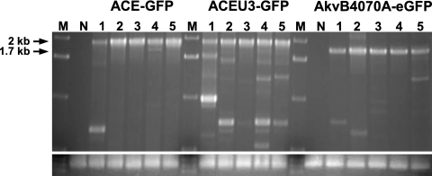 FIG. 6.