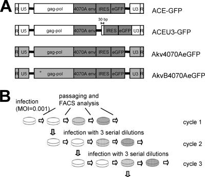 FIG. 1.