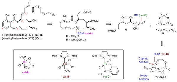 Scheme 1