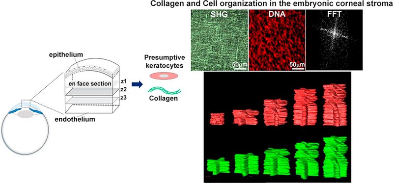 Figure 11: