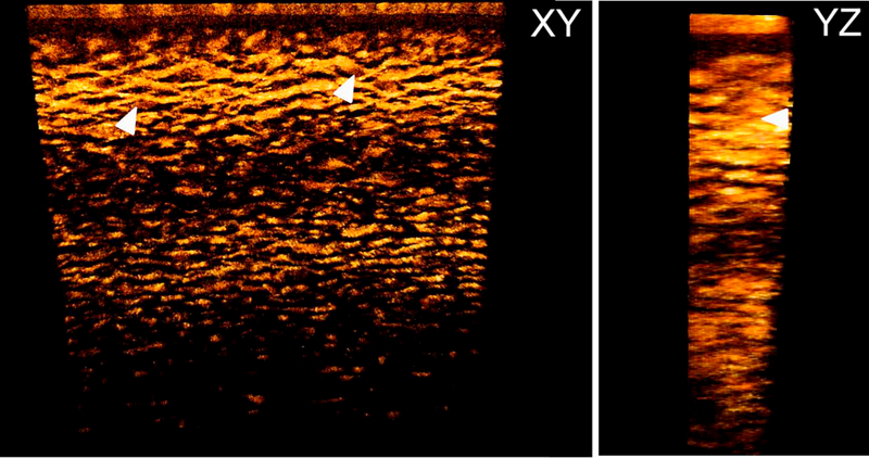 Figure 6: