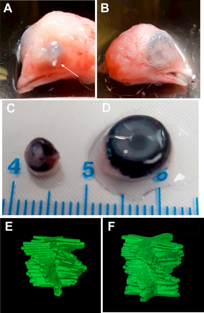 Figure 5: