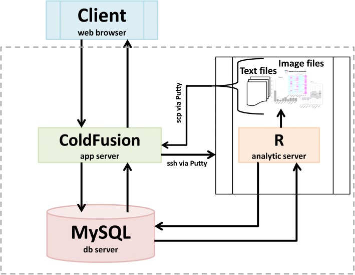 Fig. 3