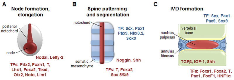 Figure 1: