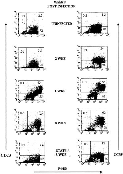 FIG. 7.