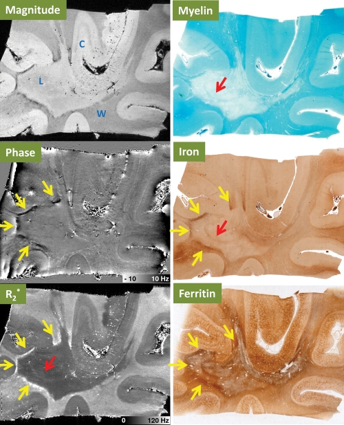 Figure 6: