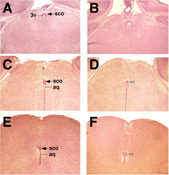 Figure 5.