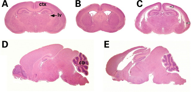 Figure 2.