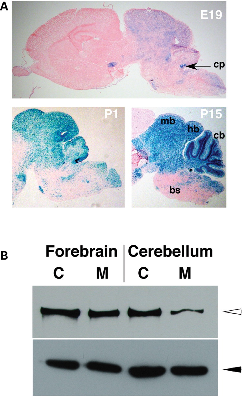 Figure 3.