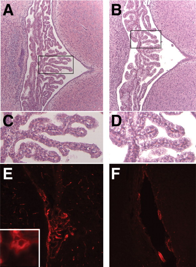 Figure 4.