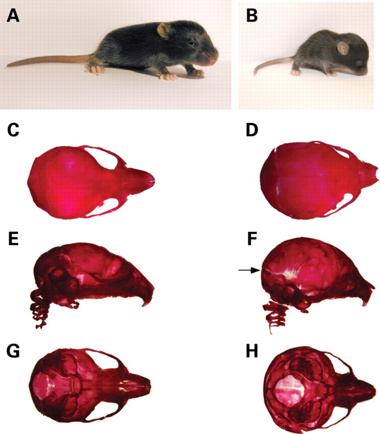 Figure 1.