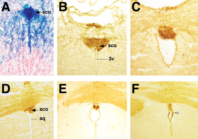 Figure 6.