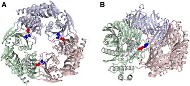 Figure 4