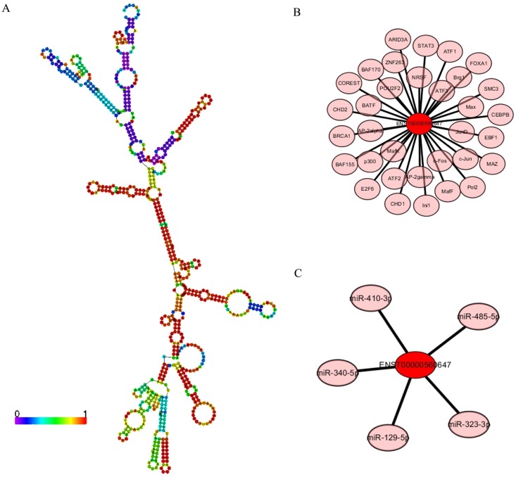 Figure 9