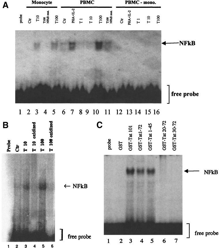 FIG. 7